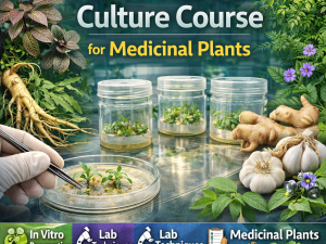 Plant Tissue Culture Course for Medicinal Plants